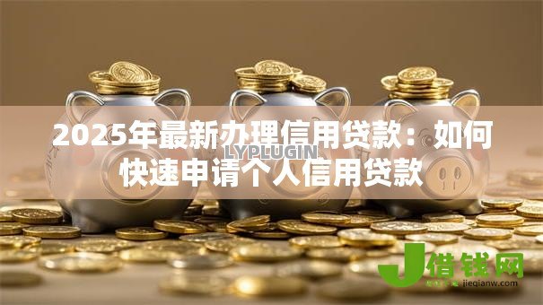 2025年最新办理信用贷款：如何快速申请个人信用贷款