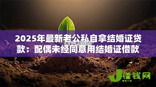 2025年最新老公私自拿结婚证贷款:配偶未经同意用结婚证借款怎么办 2025年最新老公私自拿结婚证贷款:配偶未经同意用结婚证借款怎么办