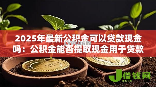 2025年最新公积金可以贷款现金吗：公积金能否提取现金用于贷款