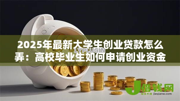 2025年最新大学生创业贷款怎么弄：高校毕业生如何申请创业资金支持
