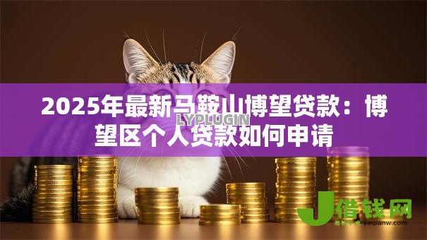 2025年最新马鞍山博望贷款：博望区个人贷款如何申请