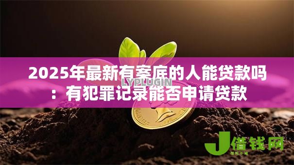 2025年最新有案底的人能贷款吗:有犯罪记录能否申请贷款 2025年最新有案底的人能贷款吗:有犯罪记录能否申请贷款
