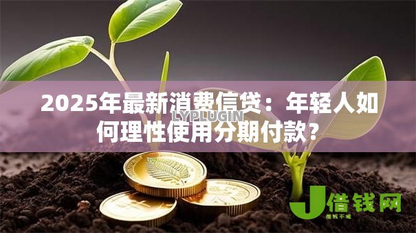 2025年最新消费信贷：年轻人如何理性使用分期付款？