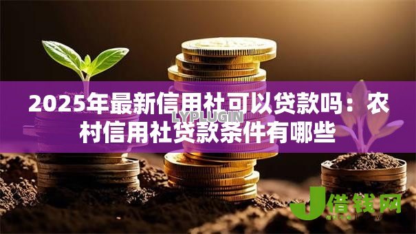 2025年最新信用社可以贷款吗:农村信用社贷款条件有哪些 2025年最新信用社可以贷款吗:农村信用社贷款条件有哪些