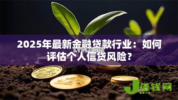 2025年最新金融贷款行业:如何评估个人信贷风险? 2025年最新金融贷款行业:如何评估个人信贷风险?