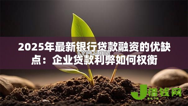 2025年最新银行贷款融资的优缺点:企业贷款利弊如何权衡 2025年最新银行贷款融资的优缺点:企业贷款利弊如何权衡