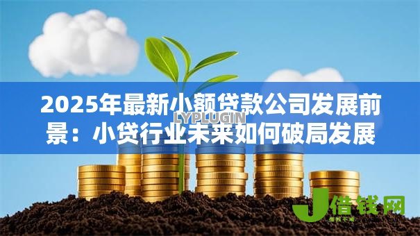 2025年最新小额贷款公司发展前景:小贷行业未来如何破局发展 2025年最新小额贷款公司发展前景:小贷行业未来如何破局发展