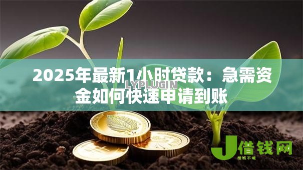 2025年最新1小时贷款：急需资金如何快速申请到账