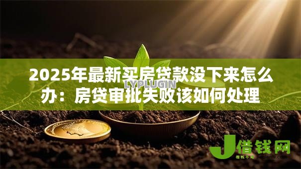 2025年最新买房贷款没下来怎么办：房贷审批失败该如何处理