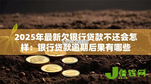 2025年最新欠银行贷款不还会怎样：银行贷款逾期后果有哪些