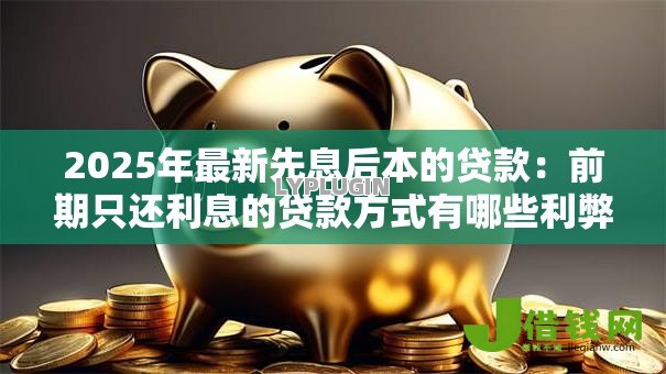 2025年最新先息后本的贷款:前期只还利息的贷款方式有哪些利弊 2025年最新先息后本的贷款:前期只还利息的贷款方式有哪些利弊