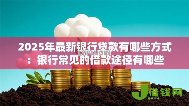 2025年最新银行贷款有哪些方式：银行常见的借款途径有哪些