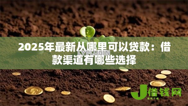 2025年最新从哪里可以贷款:借款渠道有哪些选择 2025年最新从哪里可以贷款:借款渠道有哪些选择