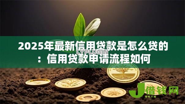 2025年最新信用贷款是怎么贷的:信用贷款申请流程如何 2025年最新信用贷款是怎么贷的:信用贷款申请流程如何