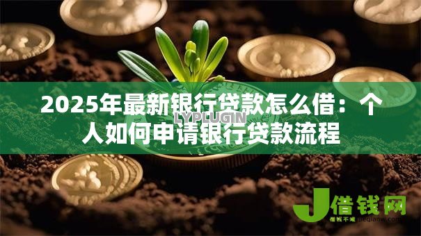 2025年最新银行贷款怎么借：个人如何申请银行贷款流程