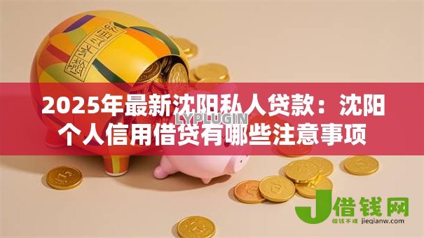 2025年最新沈阳私人贷款:沈阳个人信用借贷有哪些注意事项 2025年最新沈阳私人贷款:沈阳个人信用借贷有哪些注意事项