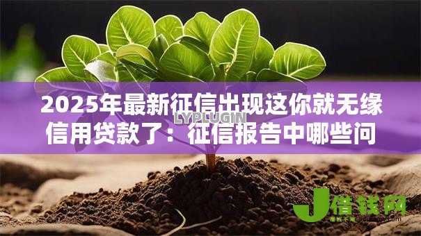 2025年最新征信出现这你就无缘信用贷款了：征信报告中哪些问题会导致贷款被拒