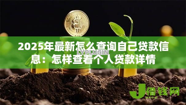 2025年最新怎么查询自己贷款信息：怎样查看个人贷款详情