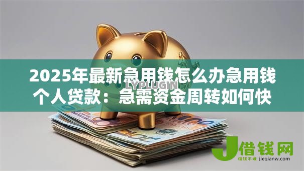 2025年最新急用钱怎么办急用钱个人贷款:急需资金周转如何快速申请个人贷款 2025年最新急用钱怎么办急用钱个人贷款:急需资金周转如何快速申请个人贷款