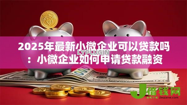 2025年最新小微企业可以贷款吗:小微企业如何申请贷款融资 2025年最新小微企业可以贷款吗:小微企业如何申请贷款融资
