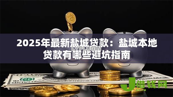 2025年最新盐城贷款：盐城本地贷款有哪些避坑指南