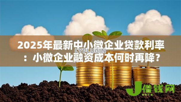2025年最新中小微企业贷款利率:小微企业融资成本何时再降? 2025年最新中小微企业贷款利率:小微企业融资成本何时再降?