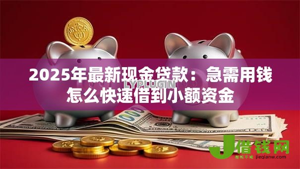 2025年最新现金贷款:急需用钱怎么快速借到小额资金 2025年最新现金贷款:急需用钱怎么快速借到小额资金