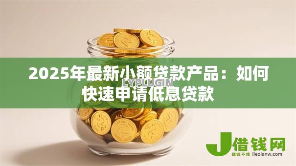 2025年最新小额贷款产品：如何快速申请低息贷款