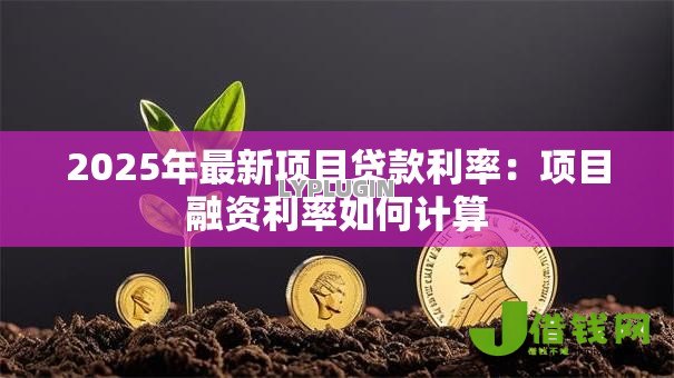 2025年最新项目贷款利率：项目融资利率如何计算
