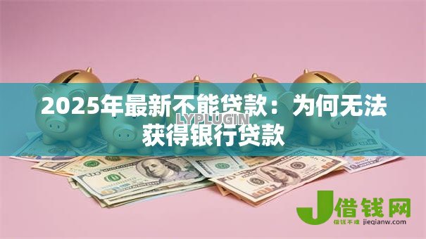 2025年最新不能贷款：为何无法获得银行贷款
