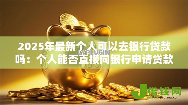 2025年最新个人可以去银行贷款吗：个人能否直接向银行申请贷款