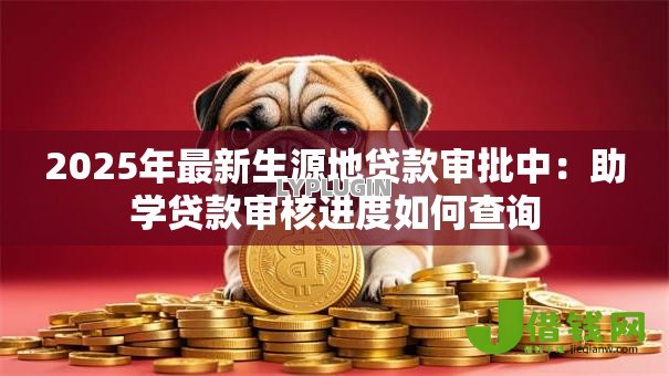 2025年最新生源地贷款审批中：助学贷款审核进度如何查询