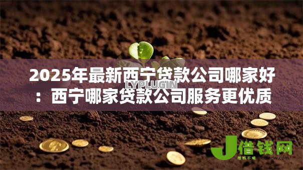 2025年最新西宁贷款公司哪家好:西宁哪家贷款公司服务更优质 2025年最新西宁贷款公司哪家好:西宁哪家贷款公司服务更优质