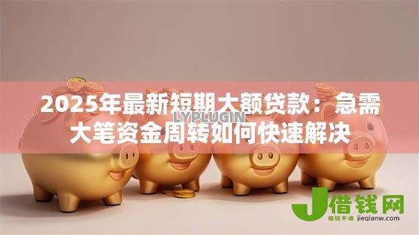 2025年最新短期大额贷款:急需大笔资金周转如何快速解决 2025年最新短期大额贷款:急需大笔资金周转如何快速解决