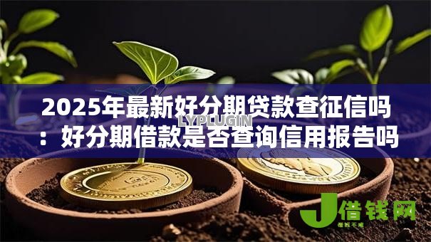2025年最新好分期贷款查征信吗：好分期借款是否查询信用报告吗