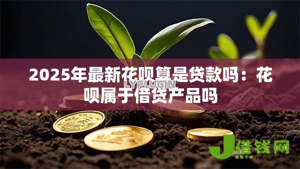 2025年最新花呗算是贷款吗:花呗属于借贷产品吗 2025年最新花呗算是贷款吗:花呗属于借贷产品吗