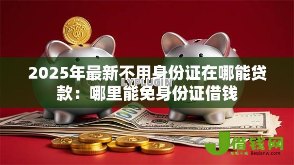 2025年最新不用身份证在哪能贷款：哪里能免身份证借钱