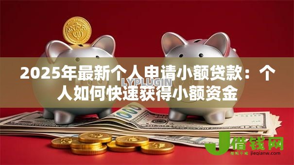 2025年最新个人申请小额贷款：个人如何快速获得小额资金