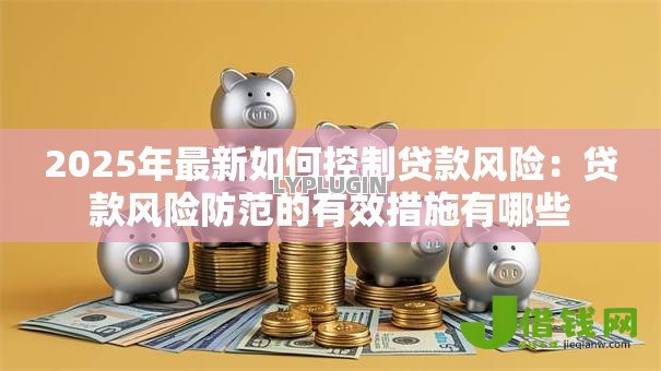 2025年最新如何控制贷款风险:贷款风险防范的有效措施有哪些 2025年最新如何控制贷款风险:贷款风险防范的有效措施有哪些
