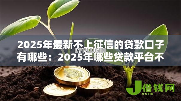 2025年最新不上征信的贷款口子有哪些：2025年哪些贷款平台不查征信
