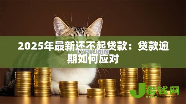 2025年最新还不起贷款：贷款逾期如何应对