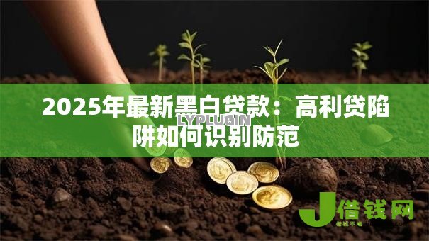 2025年最新黑白贷款：高利贷陷阱如何识别防范