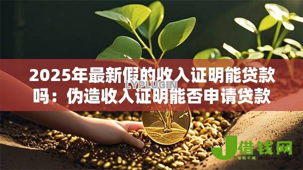 2025年最新假的收入证明能贷款吗：伪造收入证明能否申请贷款