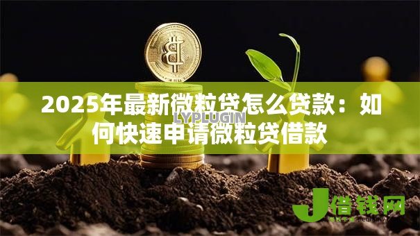 2025年最新微粒贷怎么贷款：如何快速申请微粒贷借款