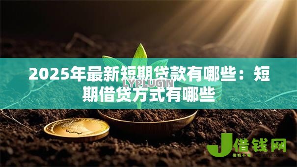 2025年最新短期贷款有哪些:短期借贷方式有哪些 2025年最新短期贷款有哪些:短期借贷方式有哪些