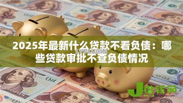 2025年最新什么贷款不看负债：哪些贷款审批不查负债情况