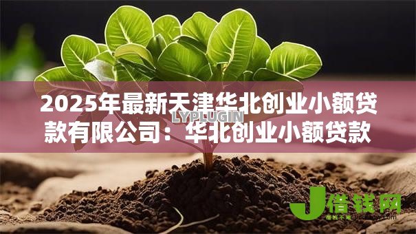 2025年最新天津华北创业小额贷款有限公司:华北创业小额贷款服务如何申请 2025年最新天津华北创业小额贷款有限公司:华北创业小额贷款服务如何申请