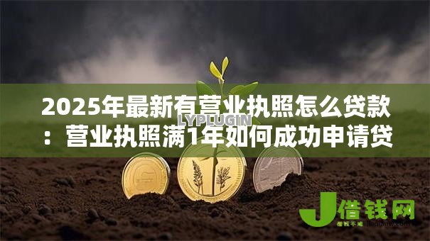 2025年最新有营业执照怎么贷款：营业执照满1年如何成功申请贷款