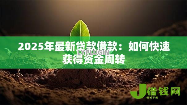 2025年最新贷款借款:如何快速获得资金周转 2025年最新贷款借款:如何快速获得资金周转