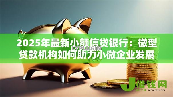 2025年最新小额信贷银行：微型贷款机构如何助力小微企业发展